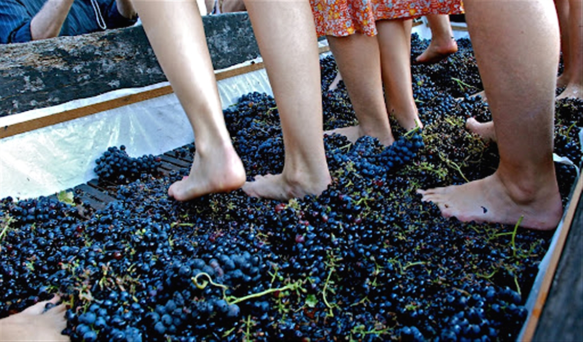 Grape Festival and Barrel Palio
